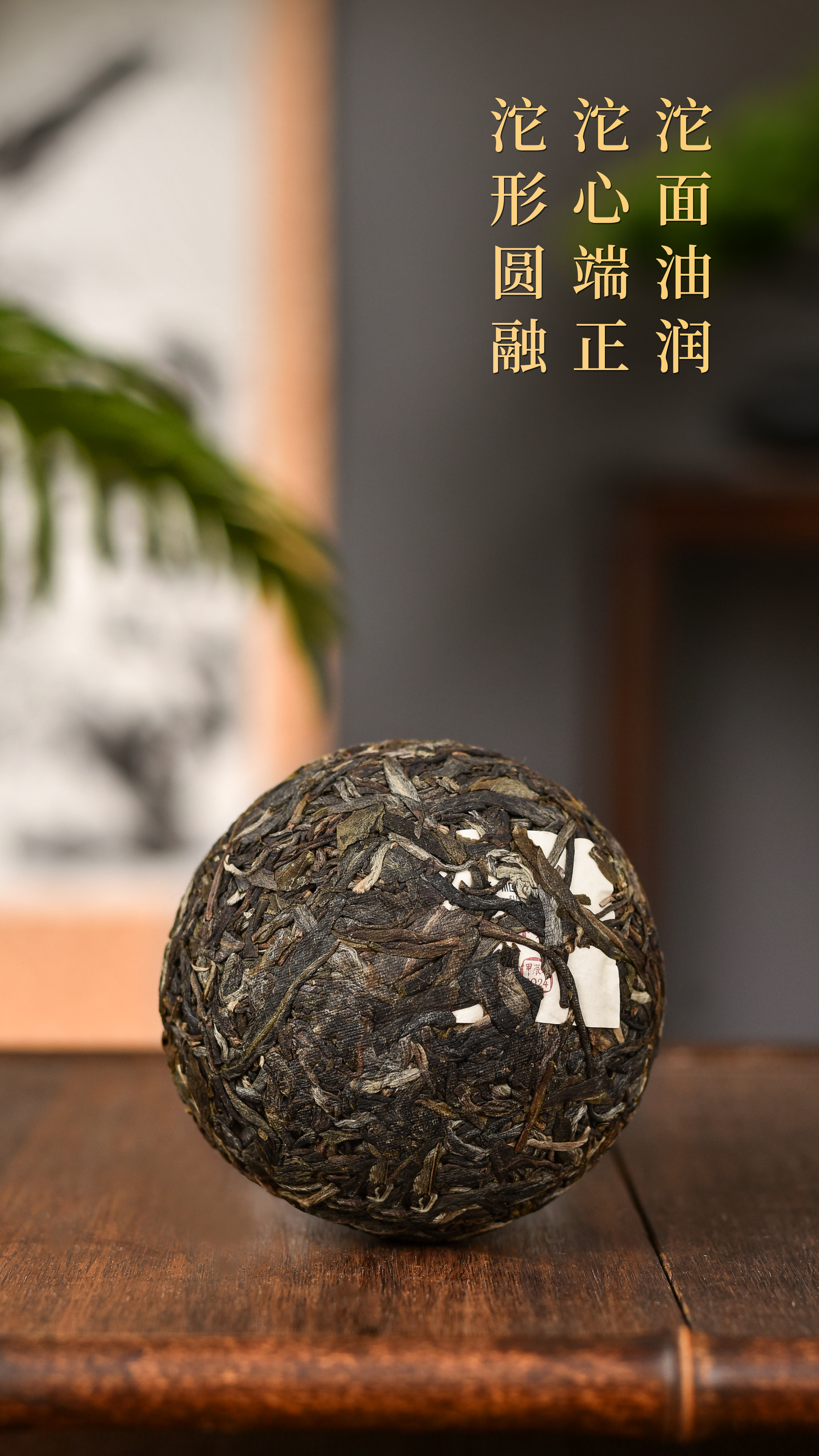 福安隆【早春乔木沱茶】上市｜春风蕴妙品，沱中展乾坤！配图