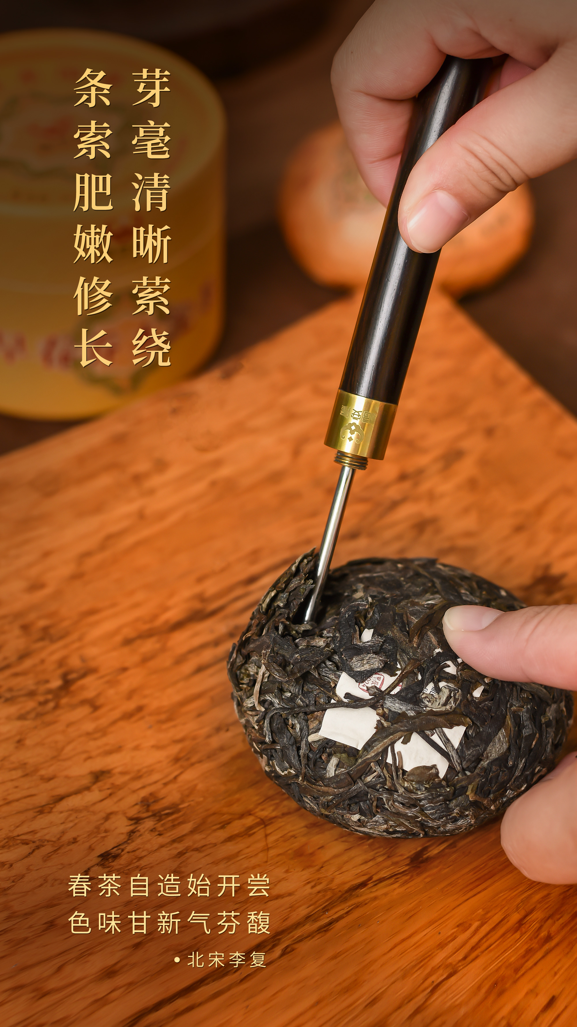 福安隆【早春乔木沱茶】上市｜春风蕴妙品，沱中展乾坤！配图