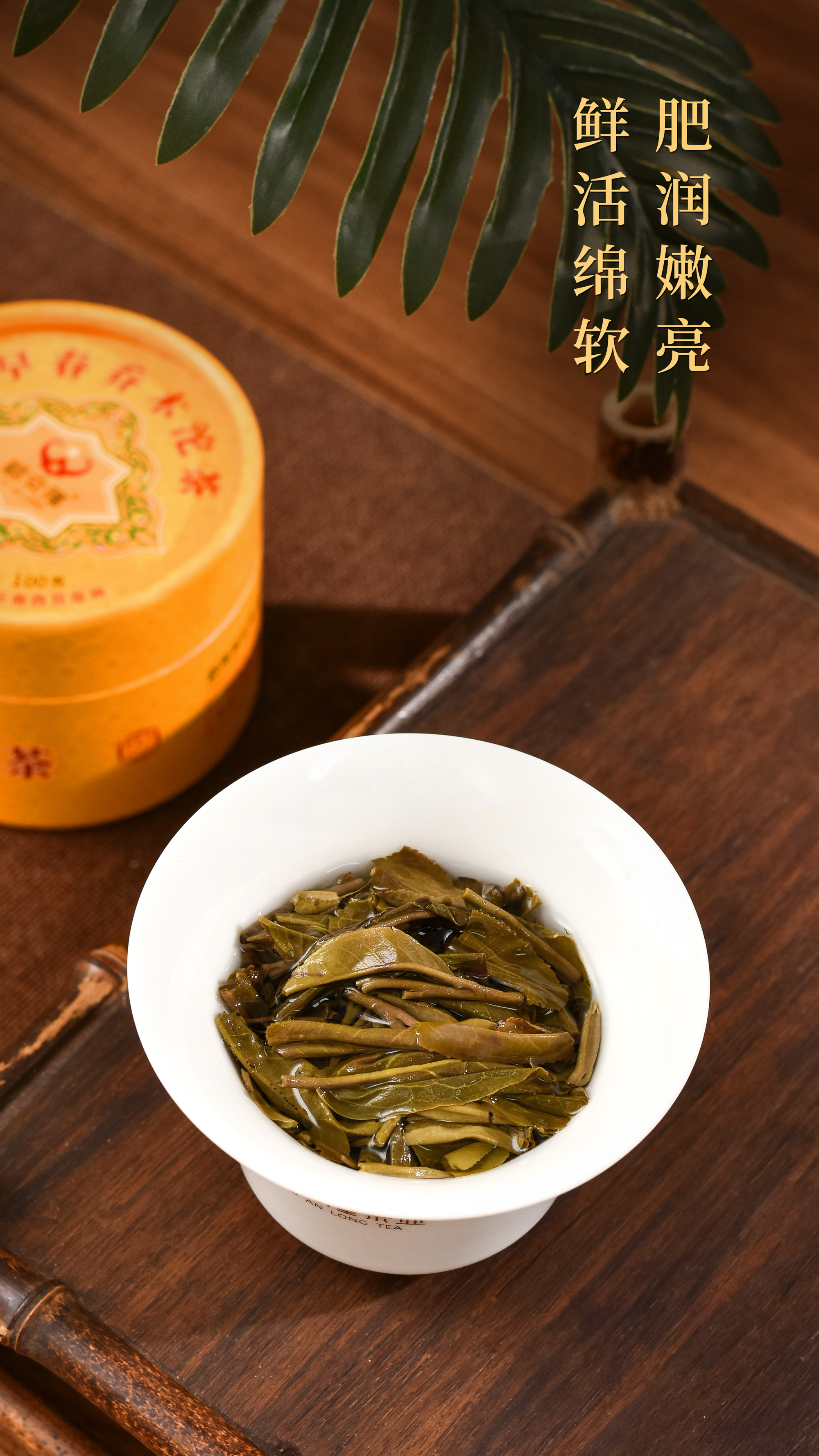 福安隆【早春乔木沱茶】上市｜春风蕴妙品，沱中展乾坤！配图