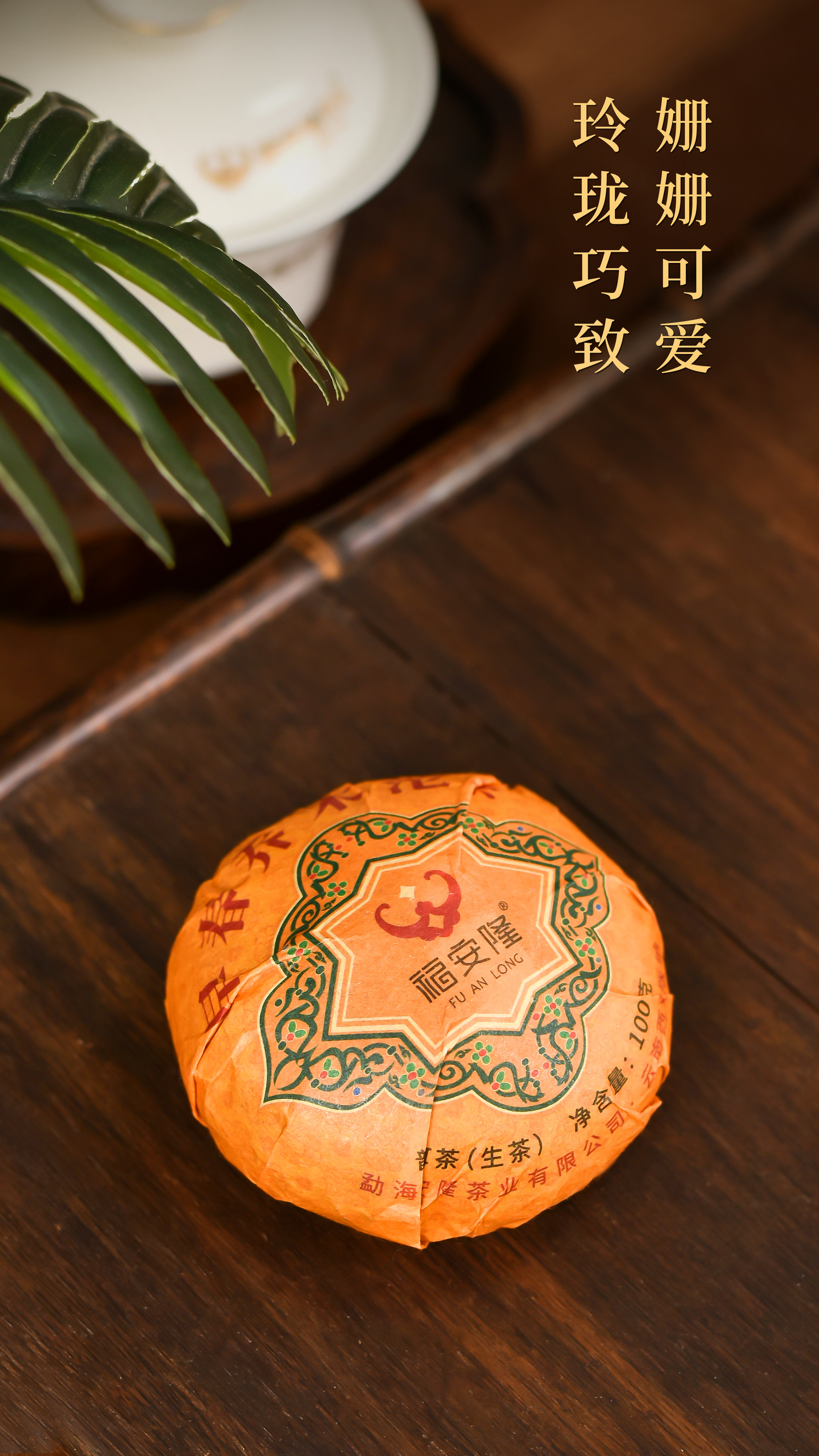 福安隆【早春乔木沱茶】上市｜春风蕴妙品，沱中展乾坤！配图